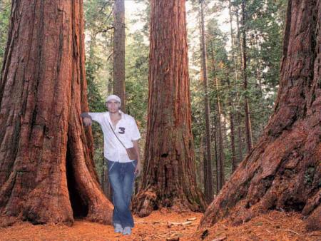 dj_maknassi@hotmail.fr